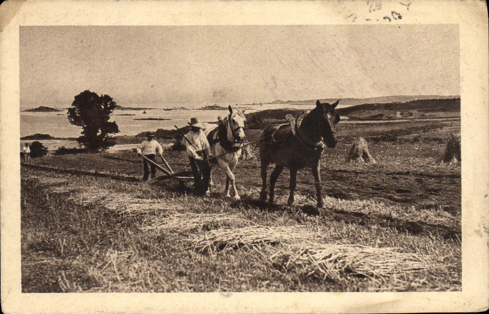 CPA Attelage Labour 