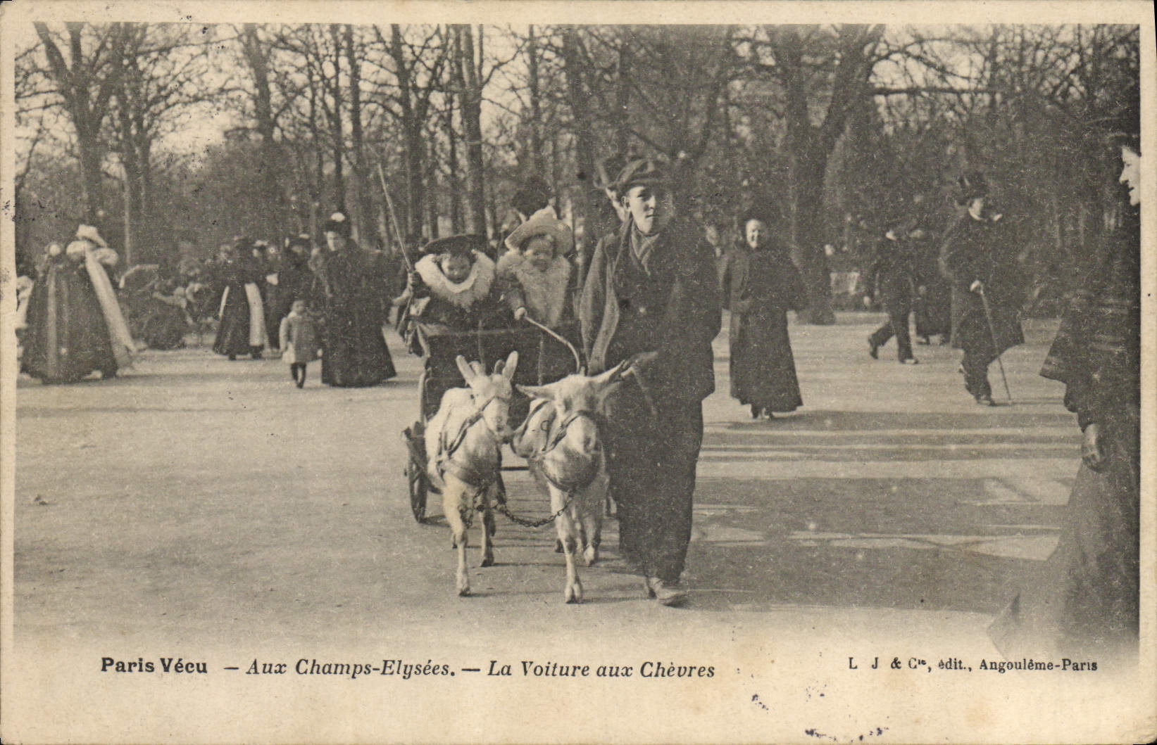 CPA Chevre Paris Champs Elysees Les voitures aux chevres TOP