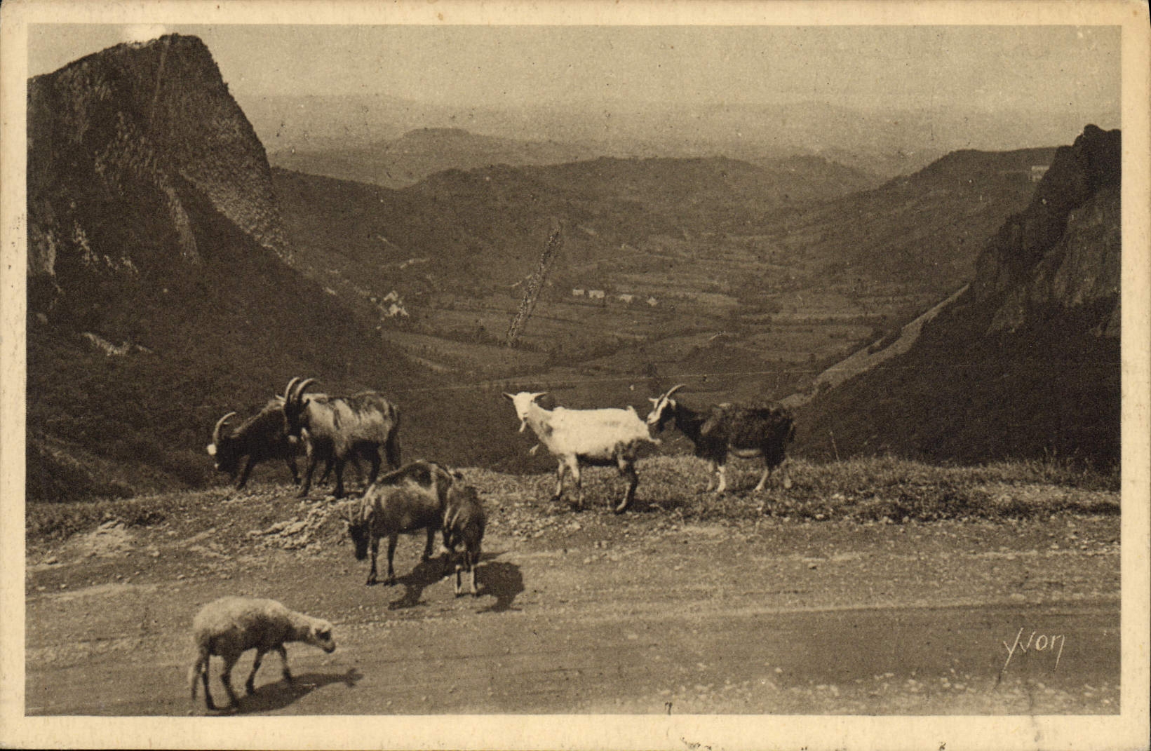 CPA Chevre Environs du Mont Dore Vallee de la Sioule et les roches Sanadoire et Tuiliere 