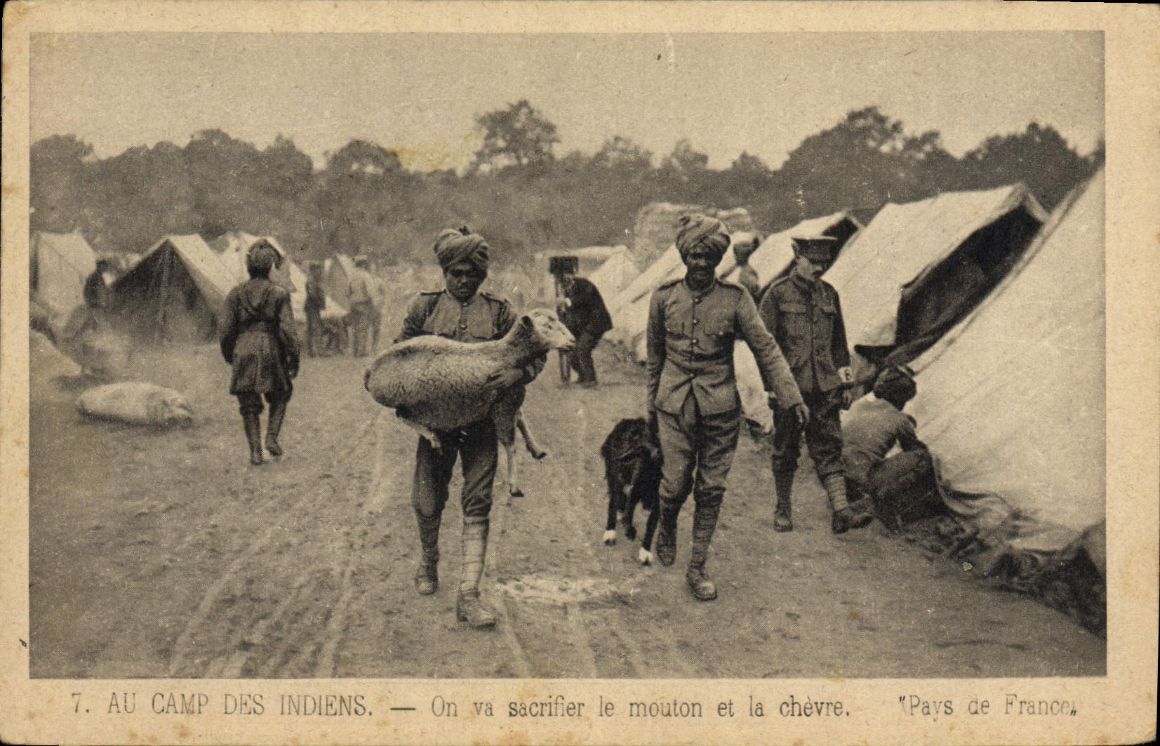 VINTAGE POSTCARD With the camp of the Indians Sheep and the goat