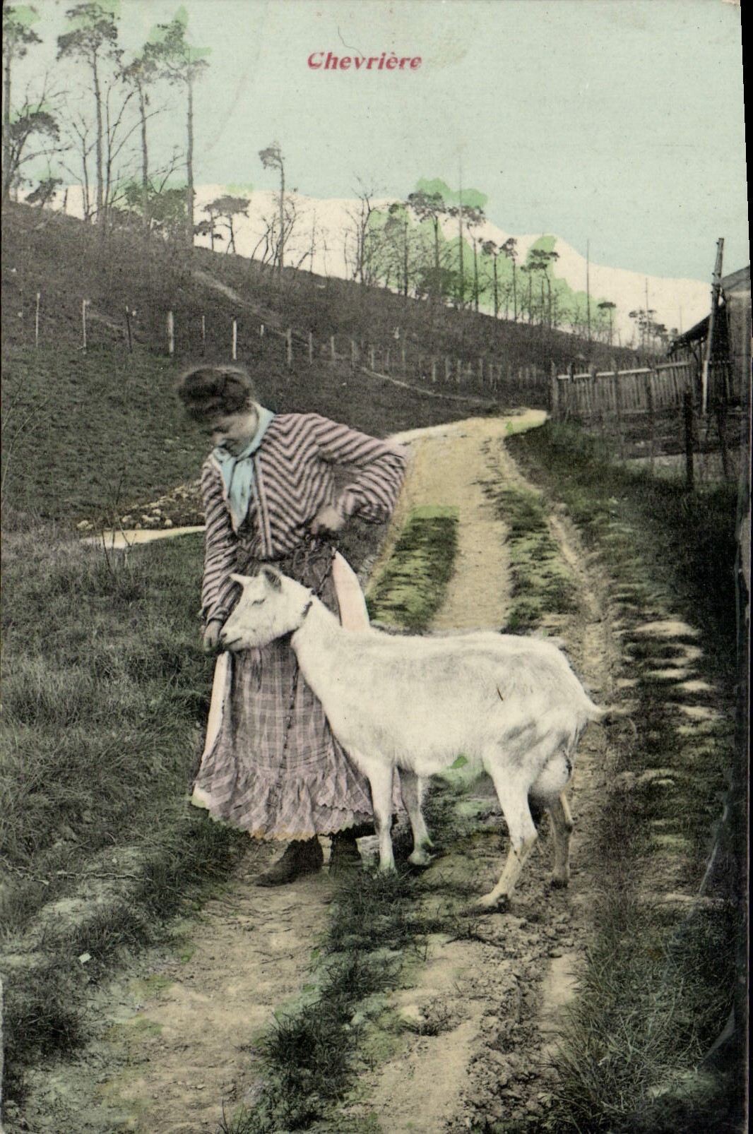 VINTAGE POSTCARD Goat Chevriere Woman