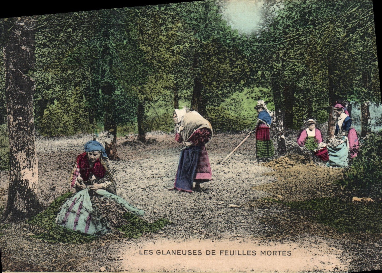 CPA Folklore Les glaneuses de feuilles mortes 