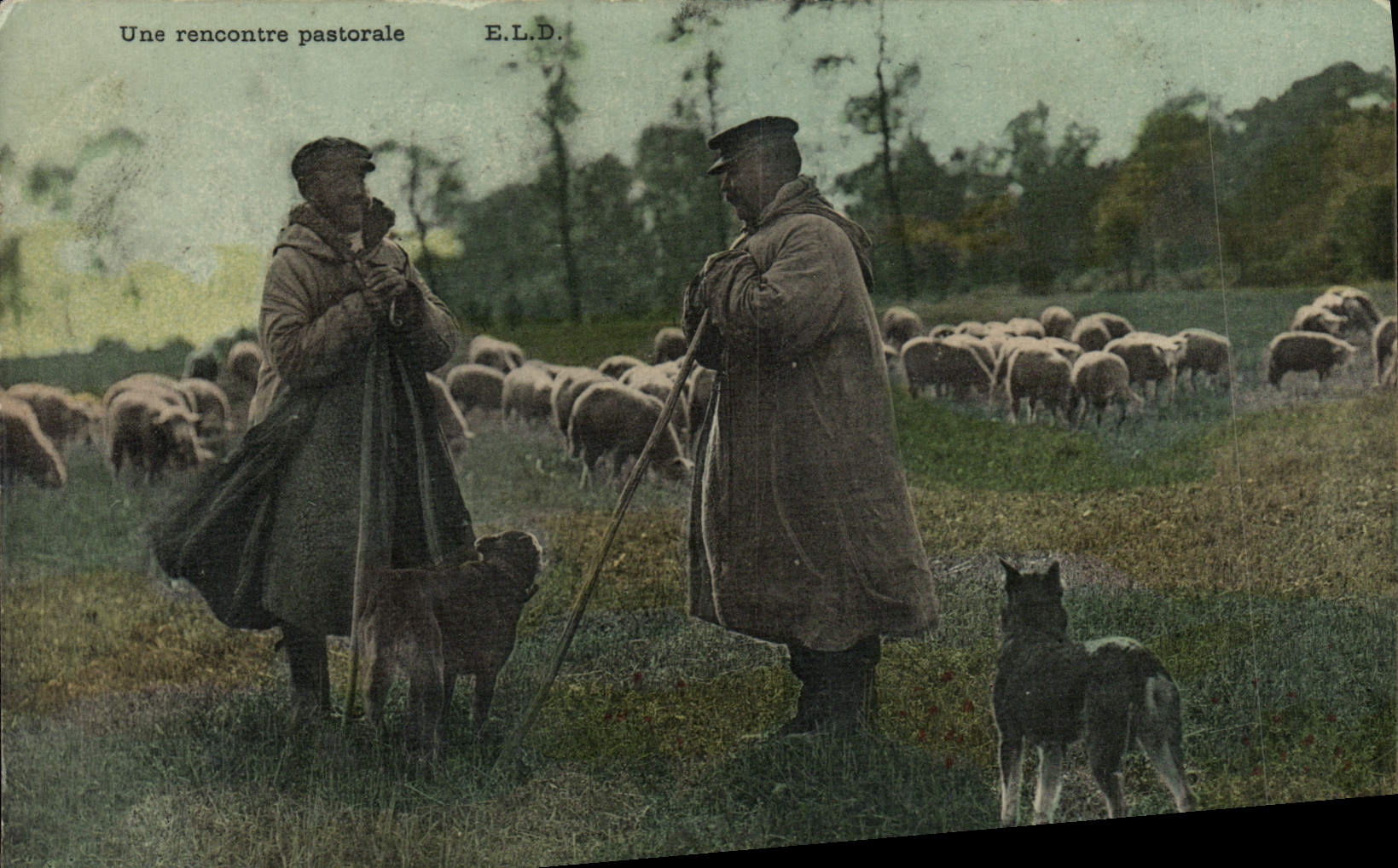 CPA Folklore Une rencontre pastorale Moutons Chien