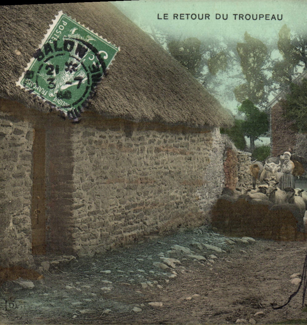 CPA Folklore Le retour du troupeau 