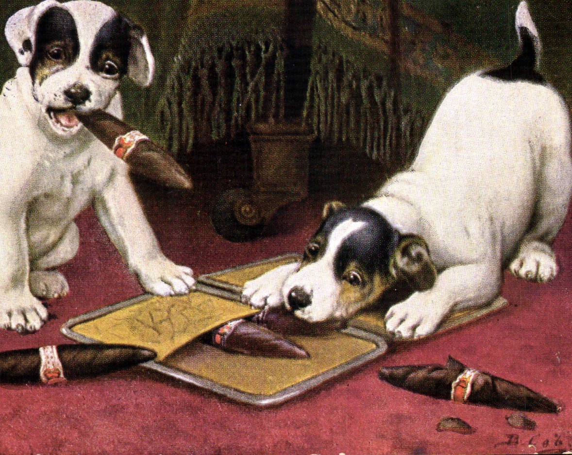 CPA Fantaisie Tabac Chien Chiens Cigare