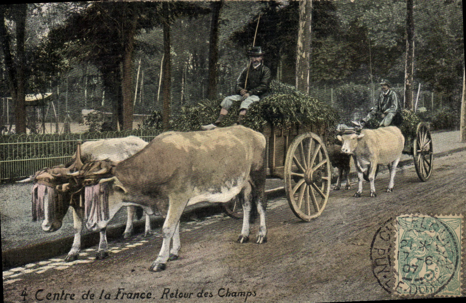 CPA Attelage Centre de la France Retour aux champs Boeufs 