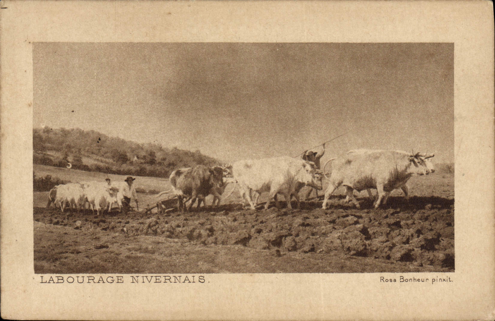 CPA Attelage Labourage Nivernais Boeufs