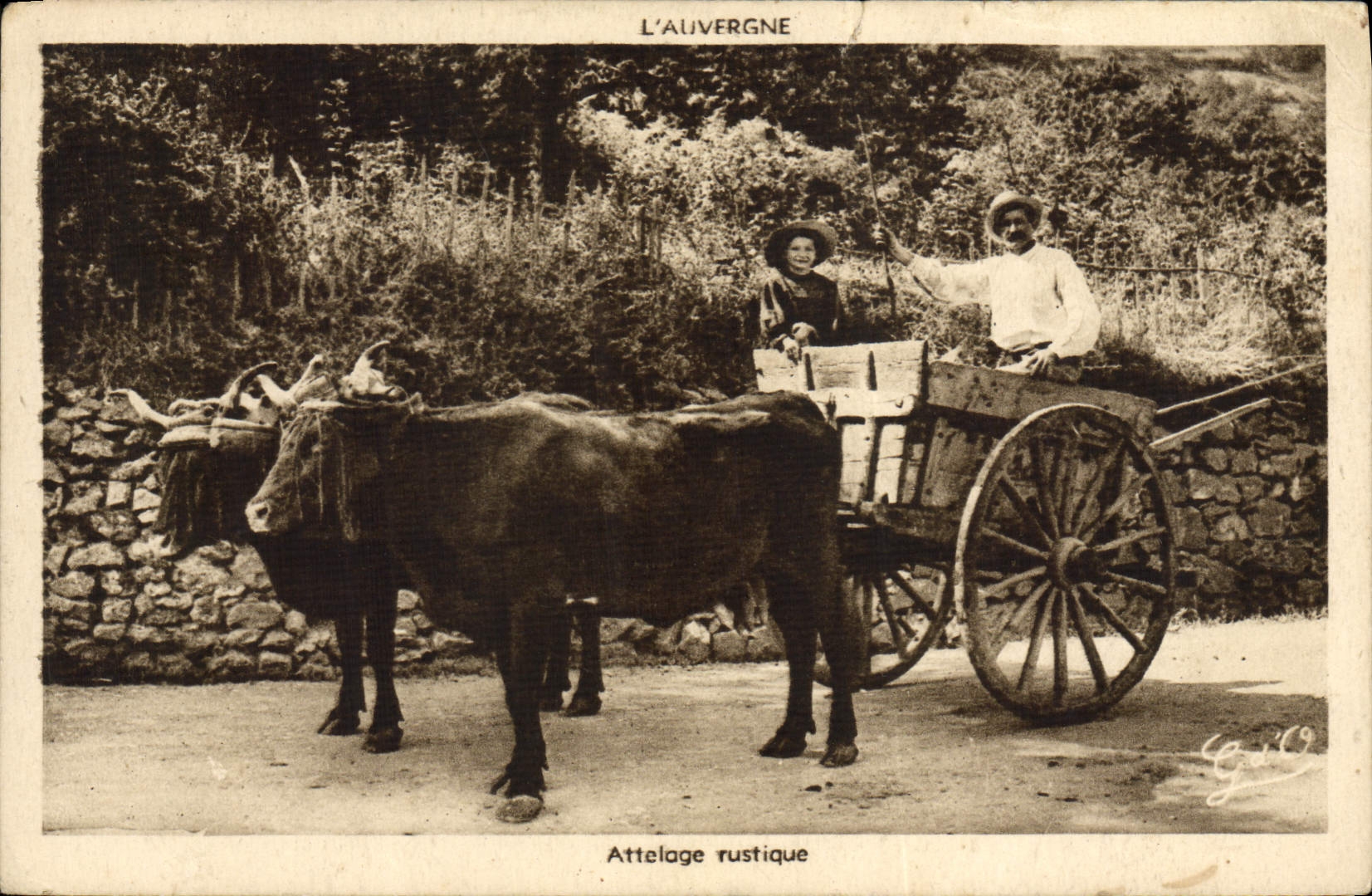 VINTAGE POSTCARD rustic Coach Auvergne Oxen