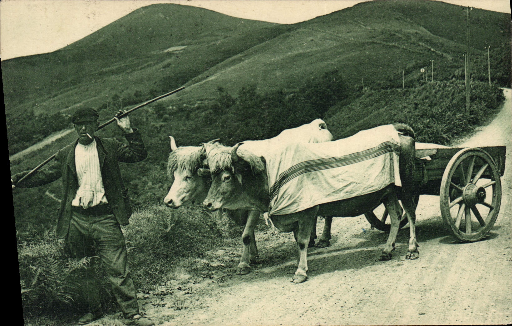 CPA Attelage basque Boeufs