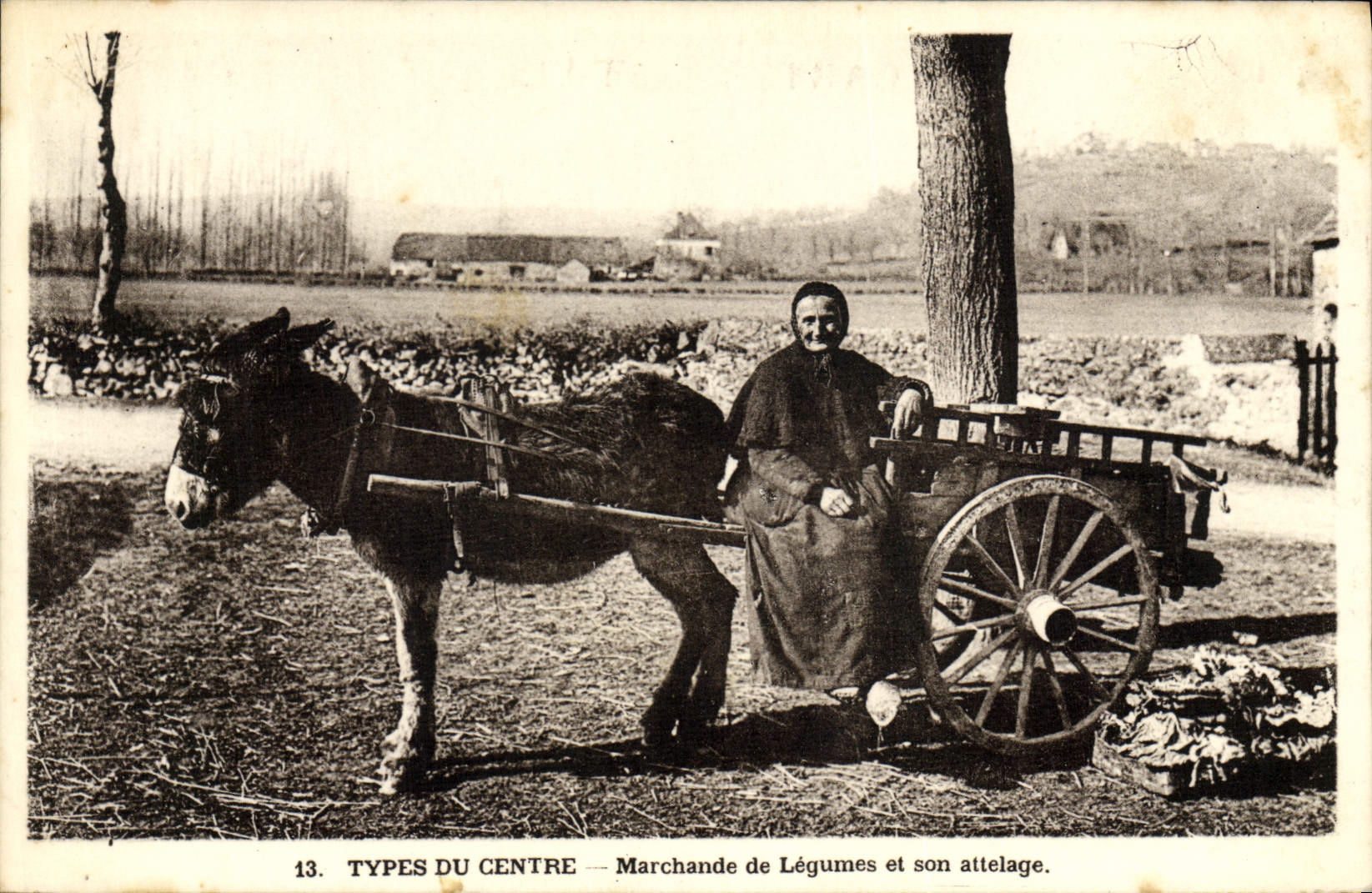 CPA Attelage Type du Centre Marchande de legumes et son attelage Ane Mule
