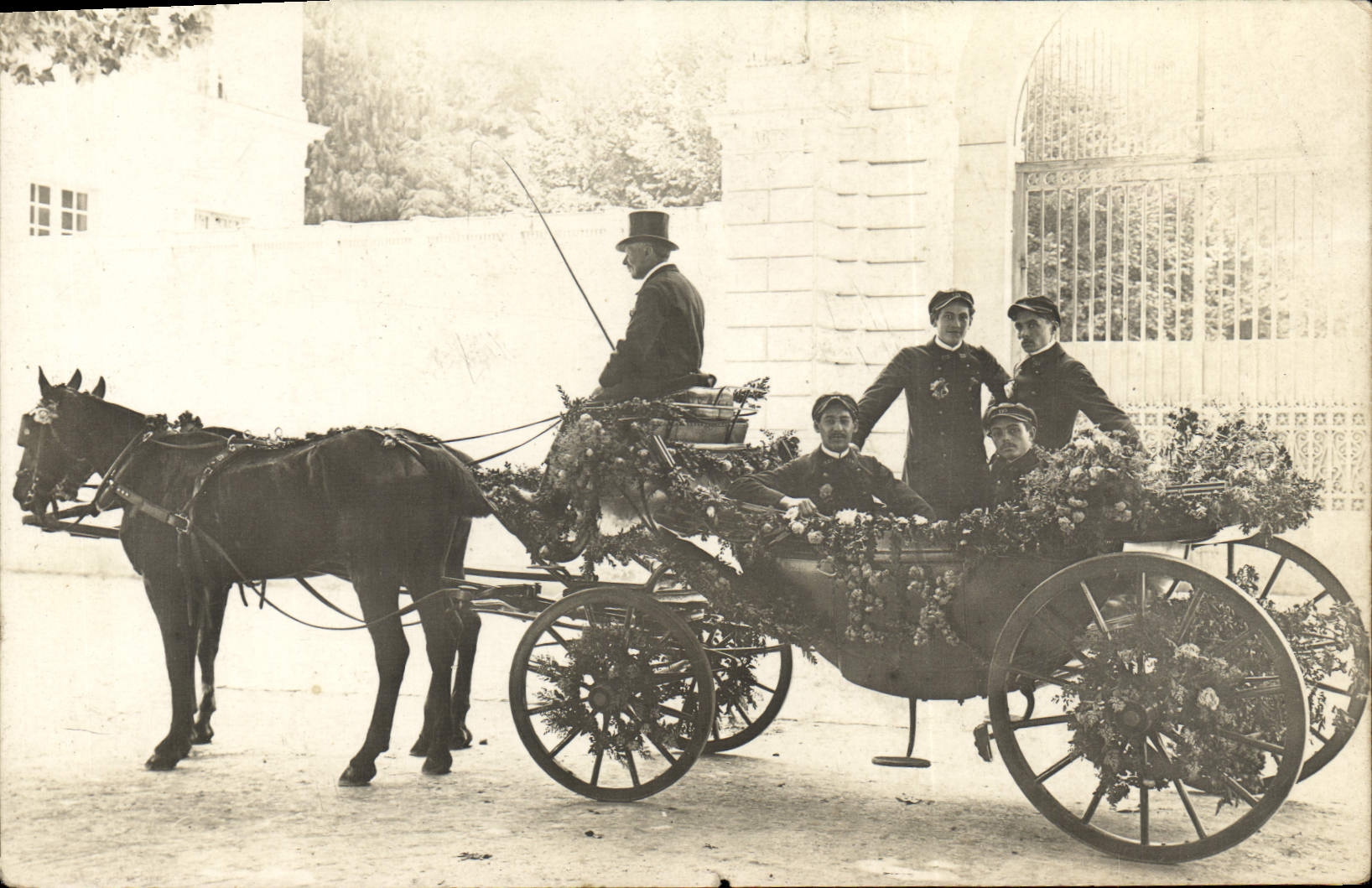 Real photo Coach Horses