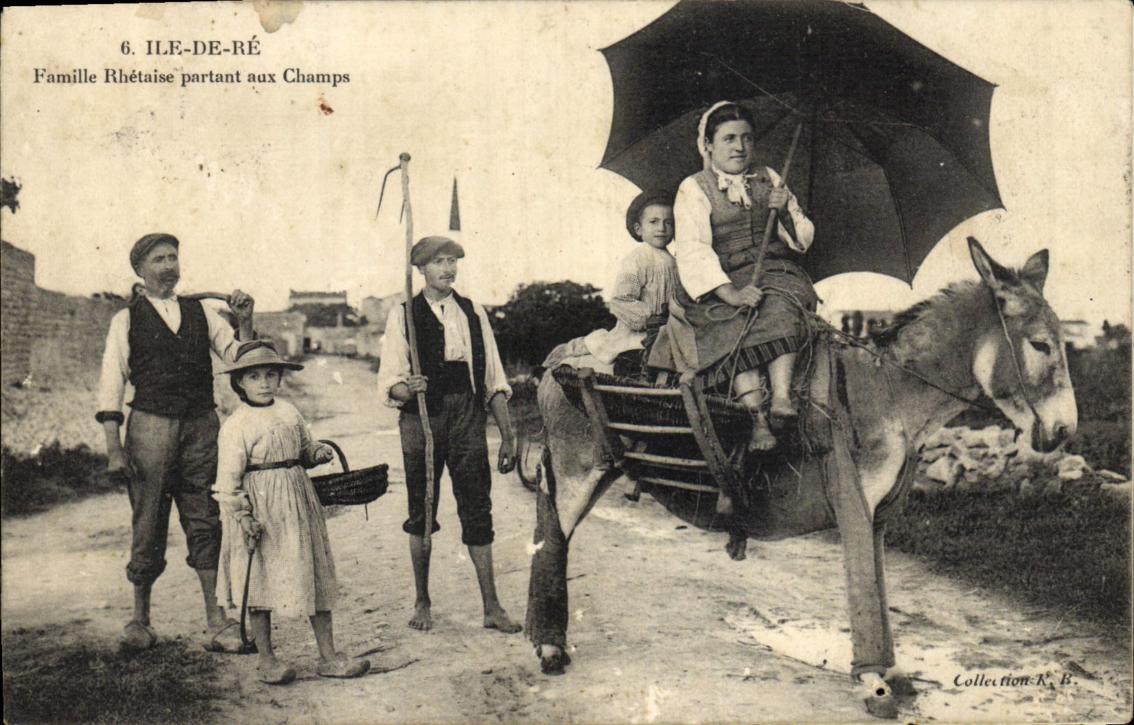 VINTAGE POSTCARD Ass Mule Ile de Ré Rhetaise Family leaving to the Fields