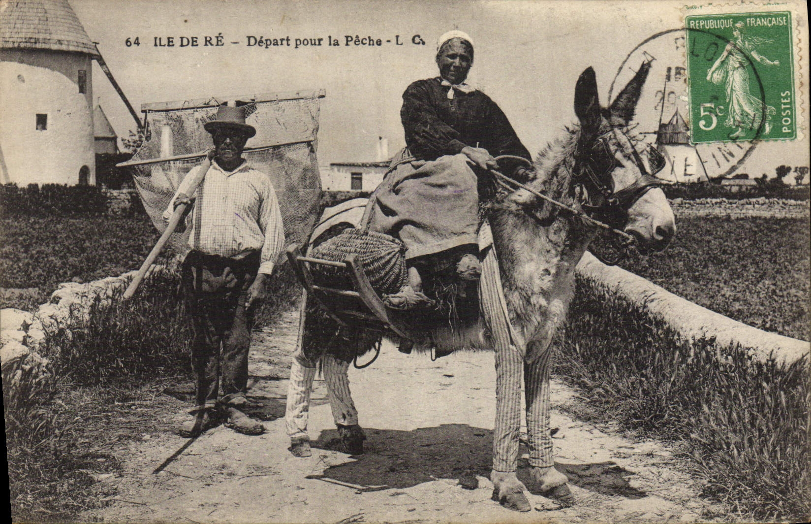 VINTAGE POSTCARD Ass Mule Ile de Ré Departure for sin TOP