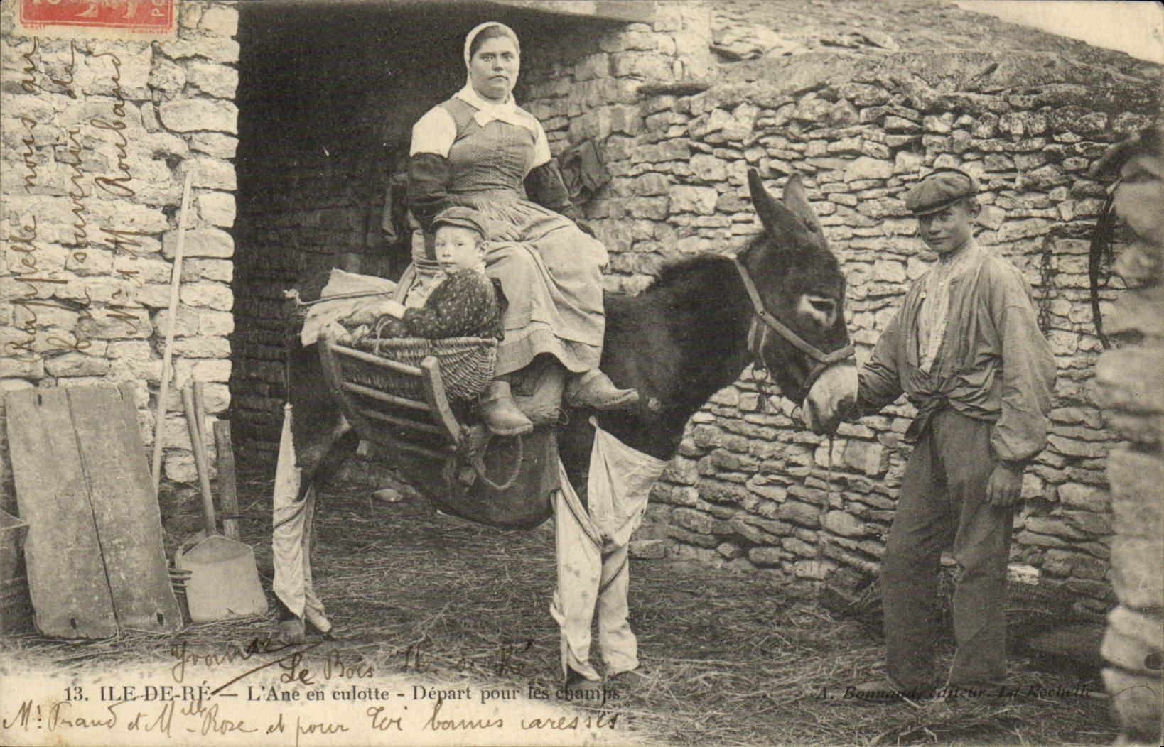 VINTAGE POSTCARD Ass Mule Ile de Ré the ass in breeches Departure for fields TOP