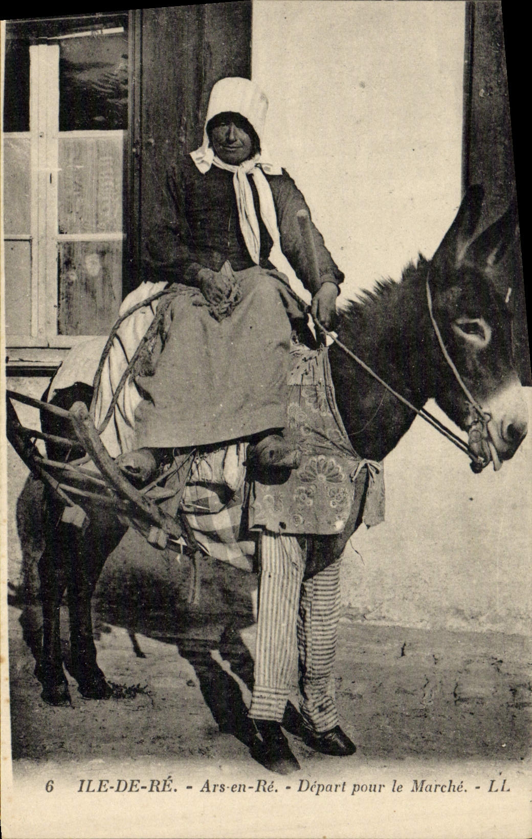 Mula Ars Ile de Ré del asno de la POSTAL de la VENDIMIA fuera de la re salida para la TAPA del mercado