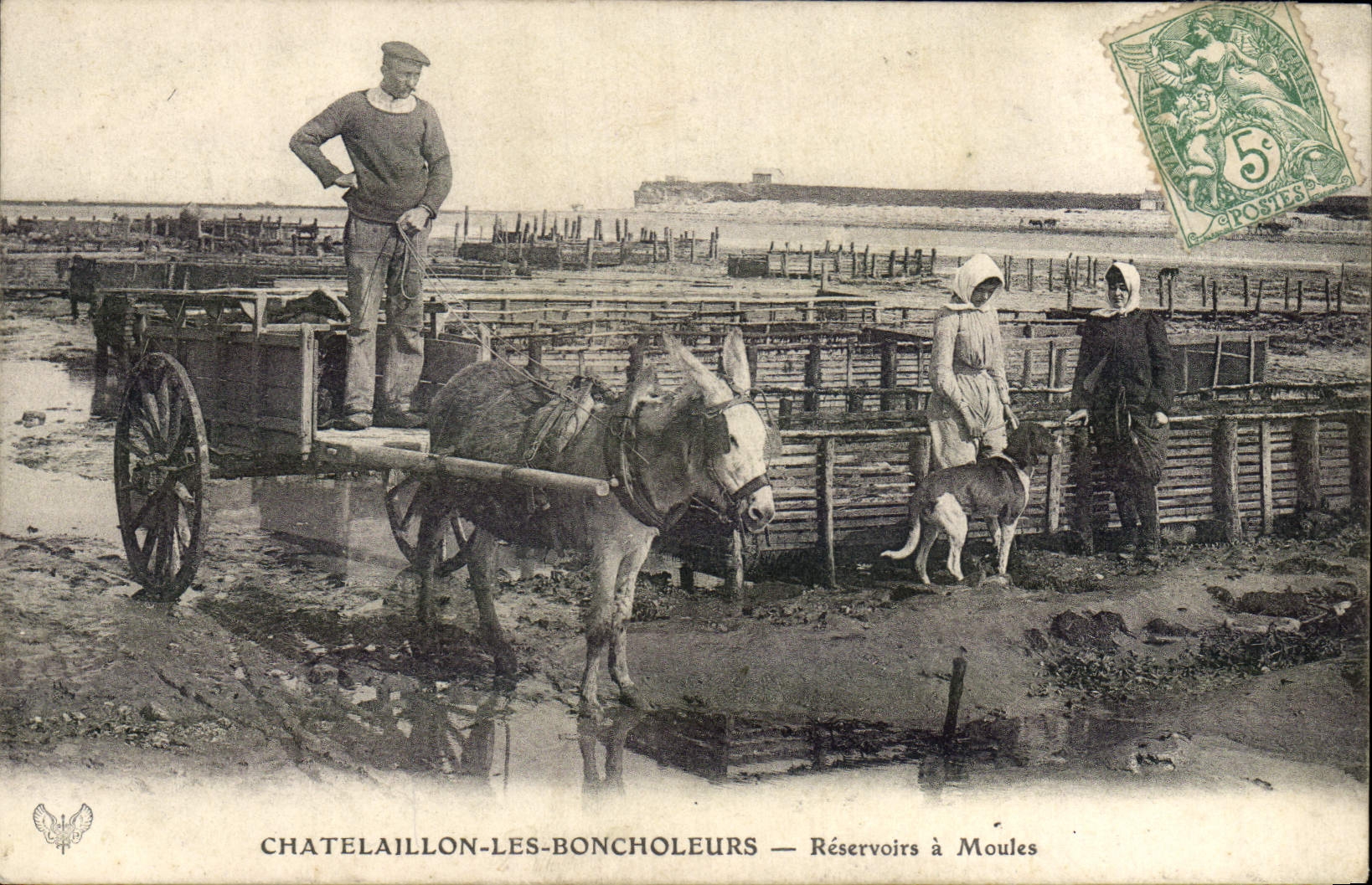 VINTAGE POSTCARD Ass Chatelaillon Mule Boncholeurs Tanks mussels Ostreiculture