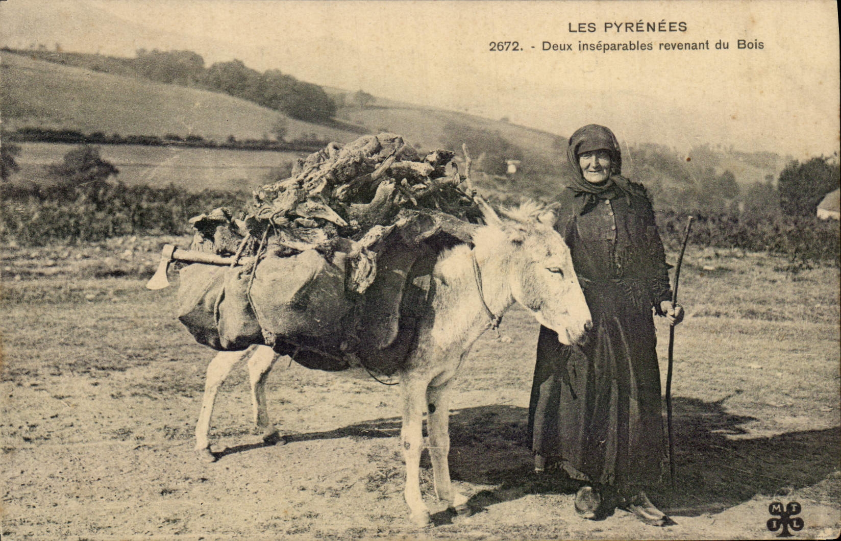 Mula del asno de la POSTAL de la VENDIMIA los Pyrenees inseparables dos que vuelven a la madera