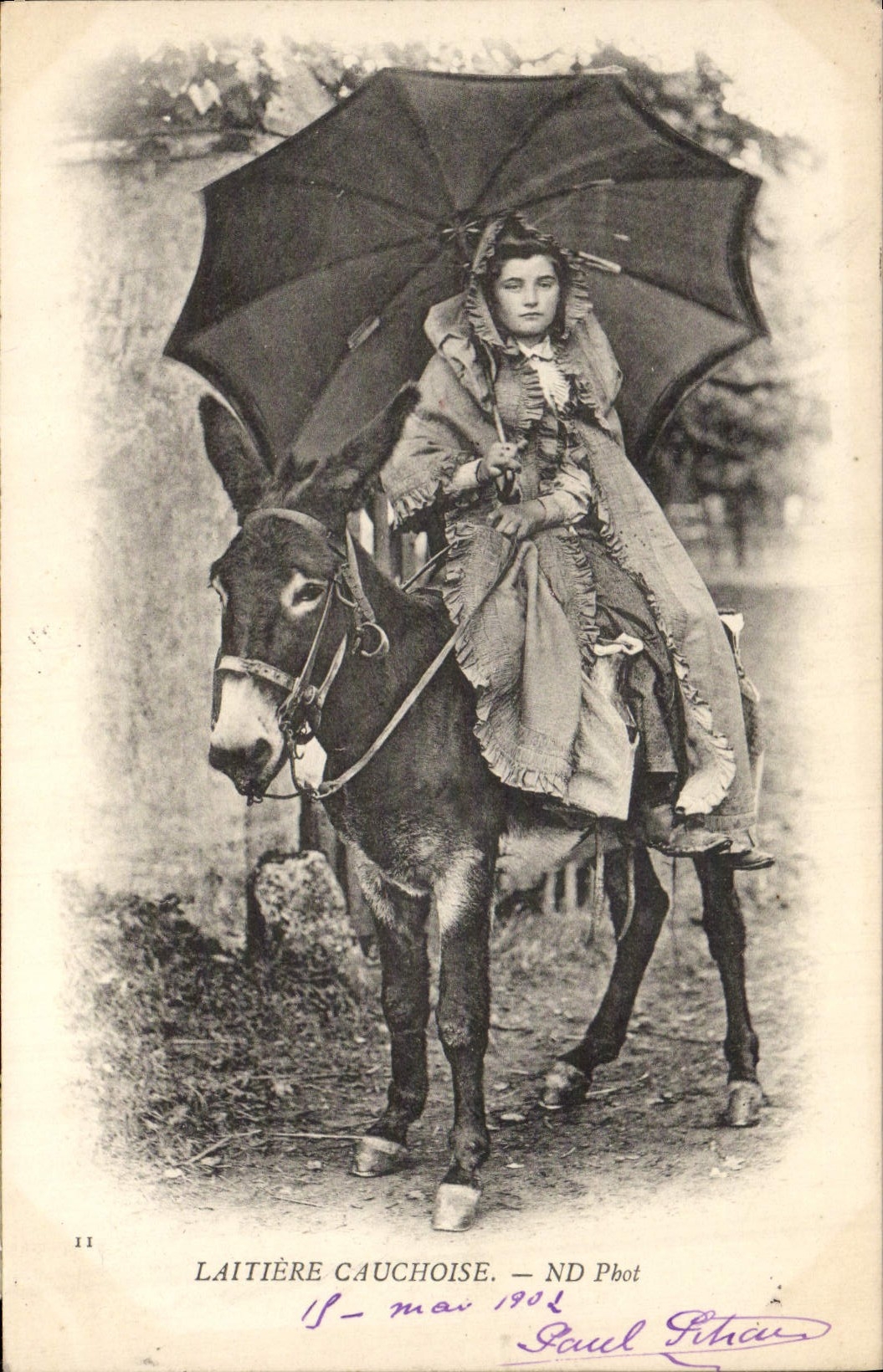 VINTAGE POSTCARD Ass Mule Laitiere Cauchoise