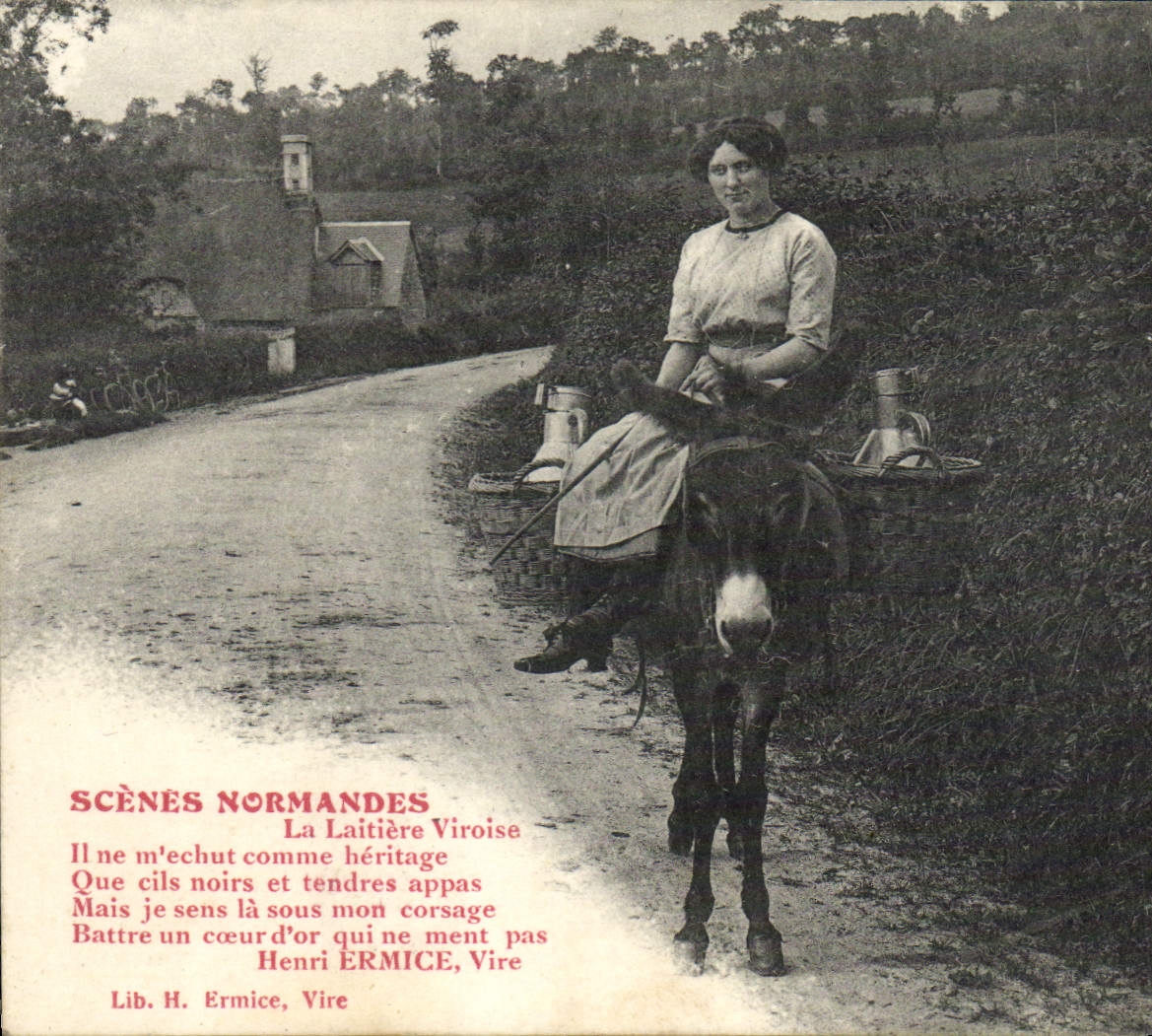 CPA Ane Mule Normandie La laitiere Viroise 
