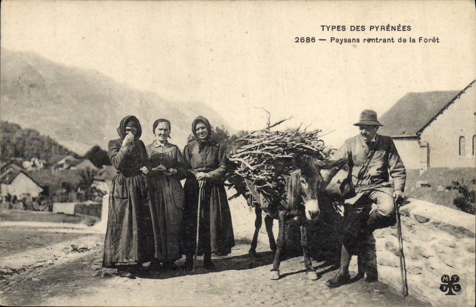 Mula de vuelta del asno de la POSTAL de la VENDIMIA los campesinos de Pyrenees del taladro
