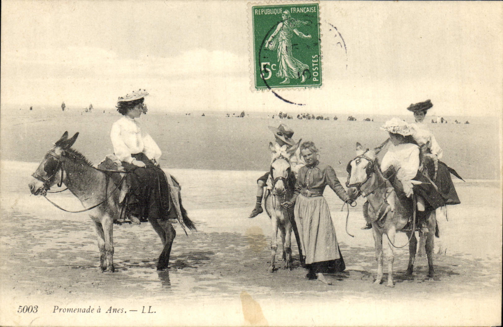 VINTAGE POSTCARD Ane Mule Walk has asses