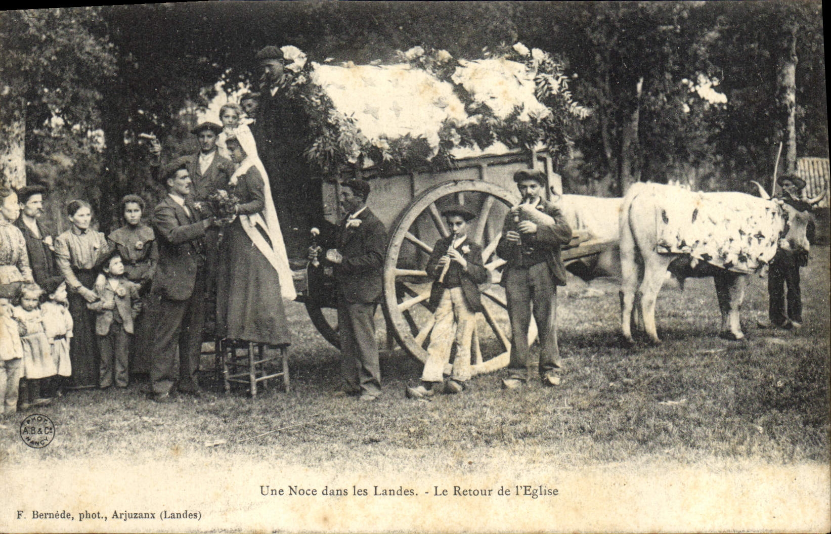 El coche de la POSTAL de la VENDIMIA una boda en amarra la vuelta de la unión de los bueyes de la iglesia