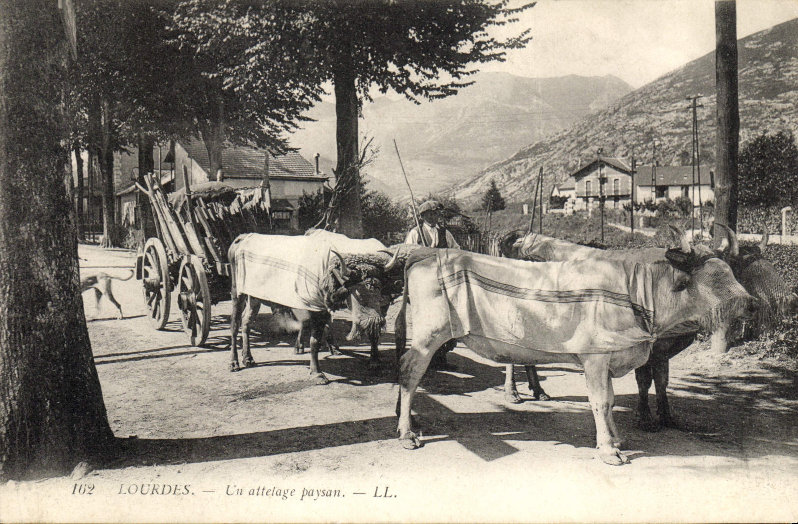 CPA Attelage Lourdes Un attelage paysan Boaufs 