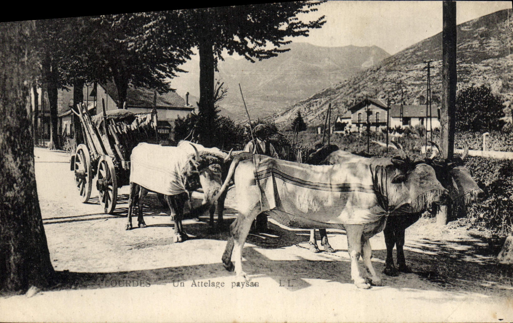 CPA Attelage Lourdes Un attelage paysan Boaufs 