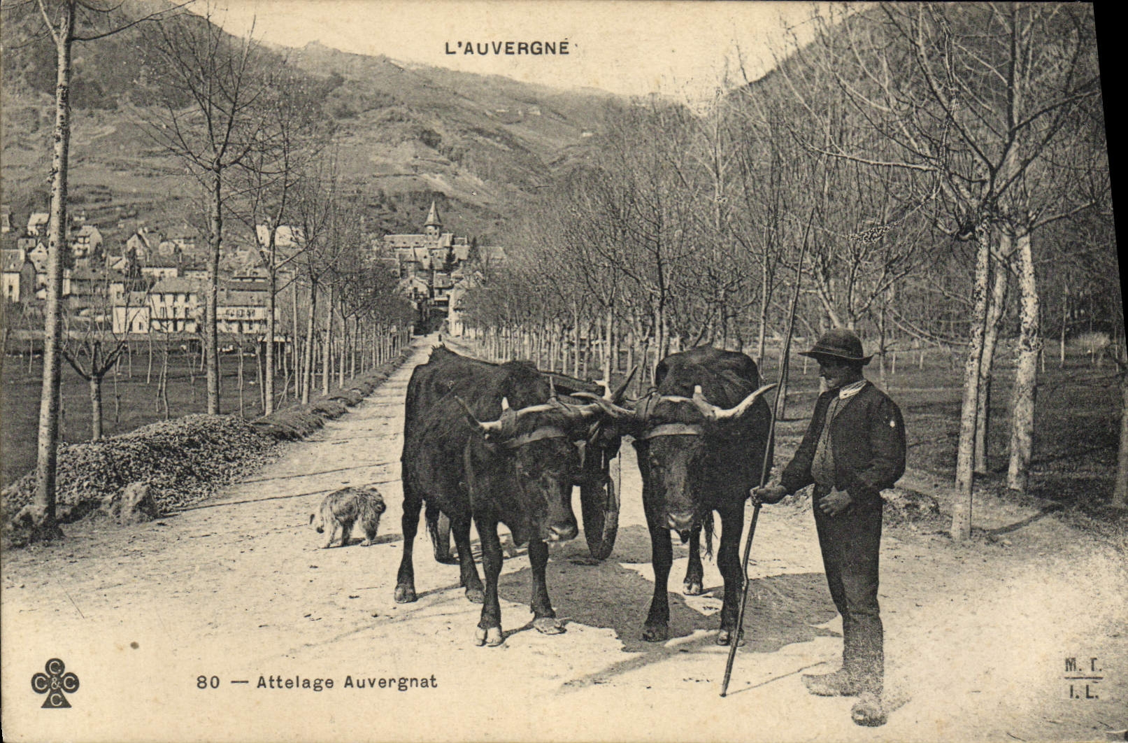 VINTAGE POSTCARD Coach Auvergne Auvergnat Coach