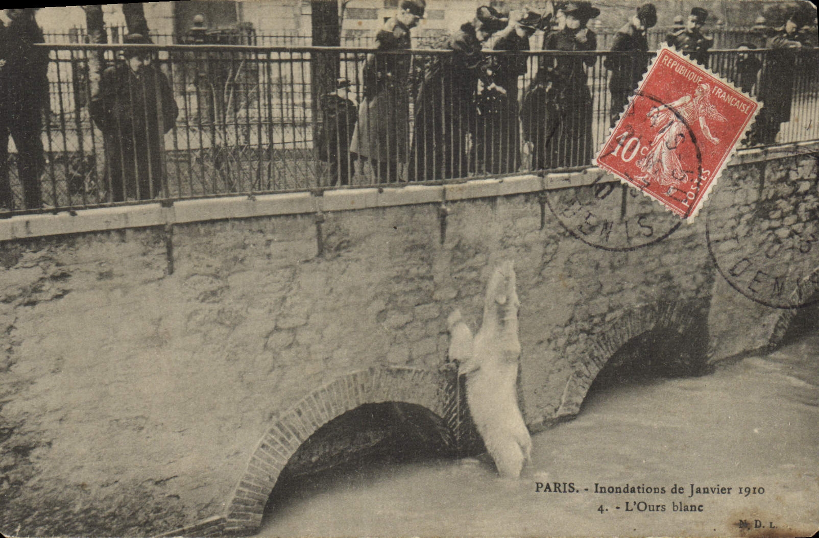 CPA Ours Paris Inondations de janvier 1910 L'ours blanc