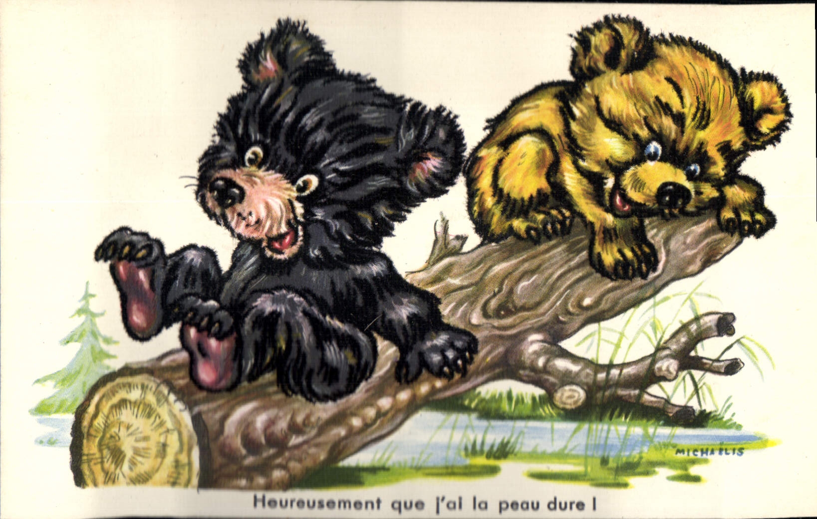 CPA Ours Heureusement que tu as la peau dure