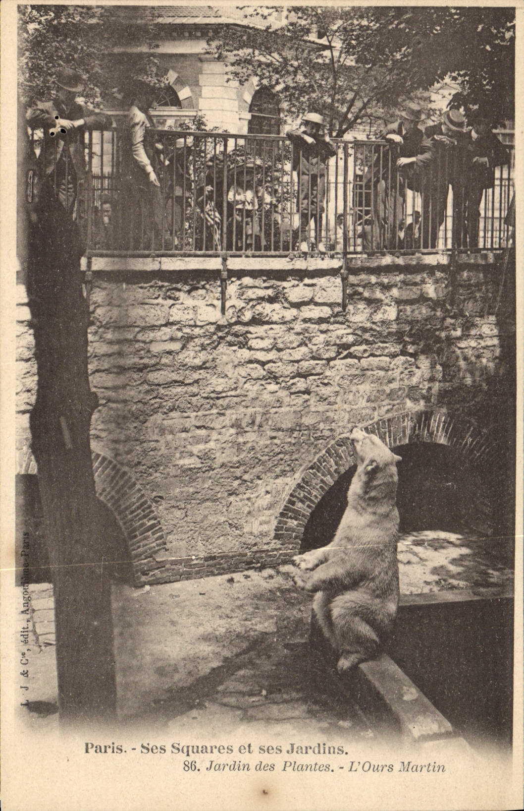 CPA Ours Paris Jardin des plantes L'ours Martin
