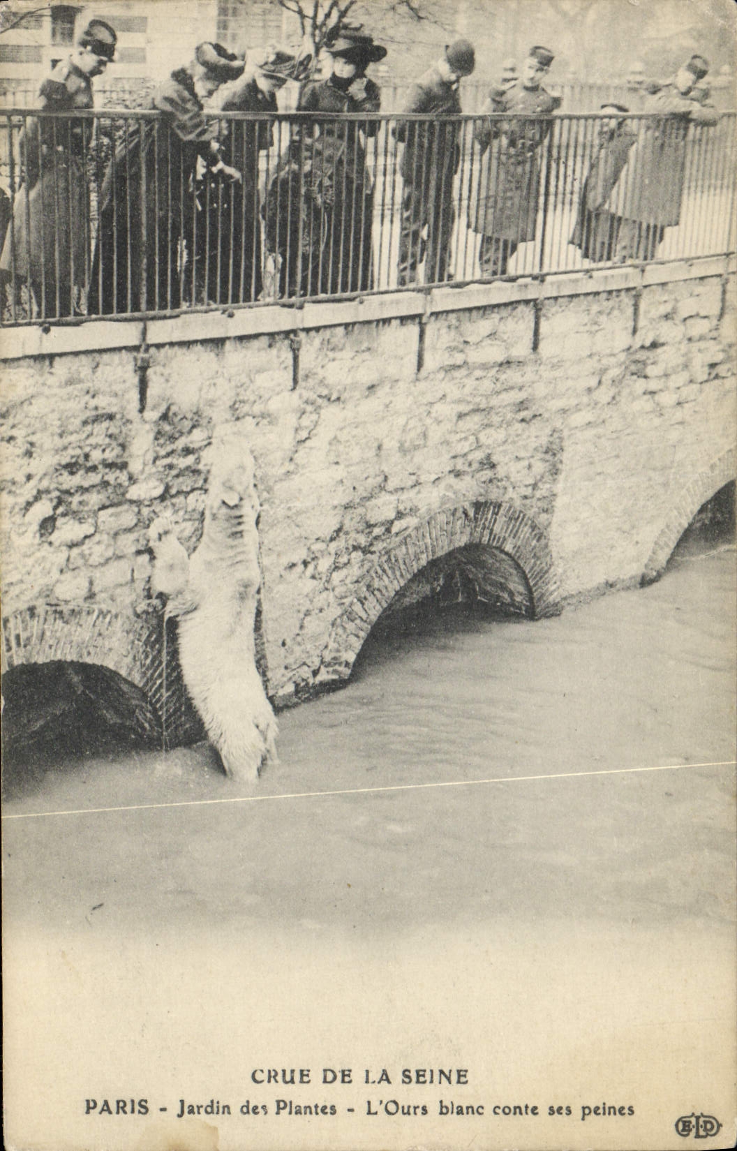 CPA Ours Paris Crue de la Seine Jardin des plantes L'ours blanc conte ses peines