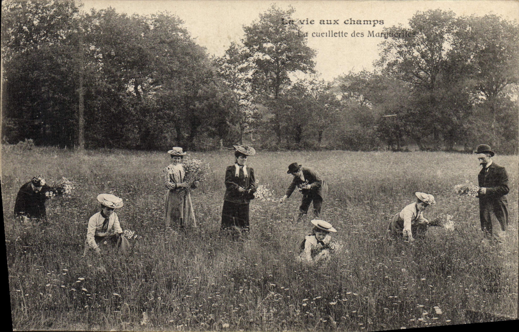 CPA Folklore La vie aux champs La cueillette des Marguerites