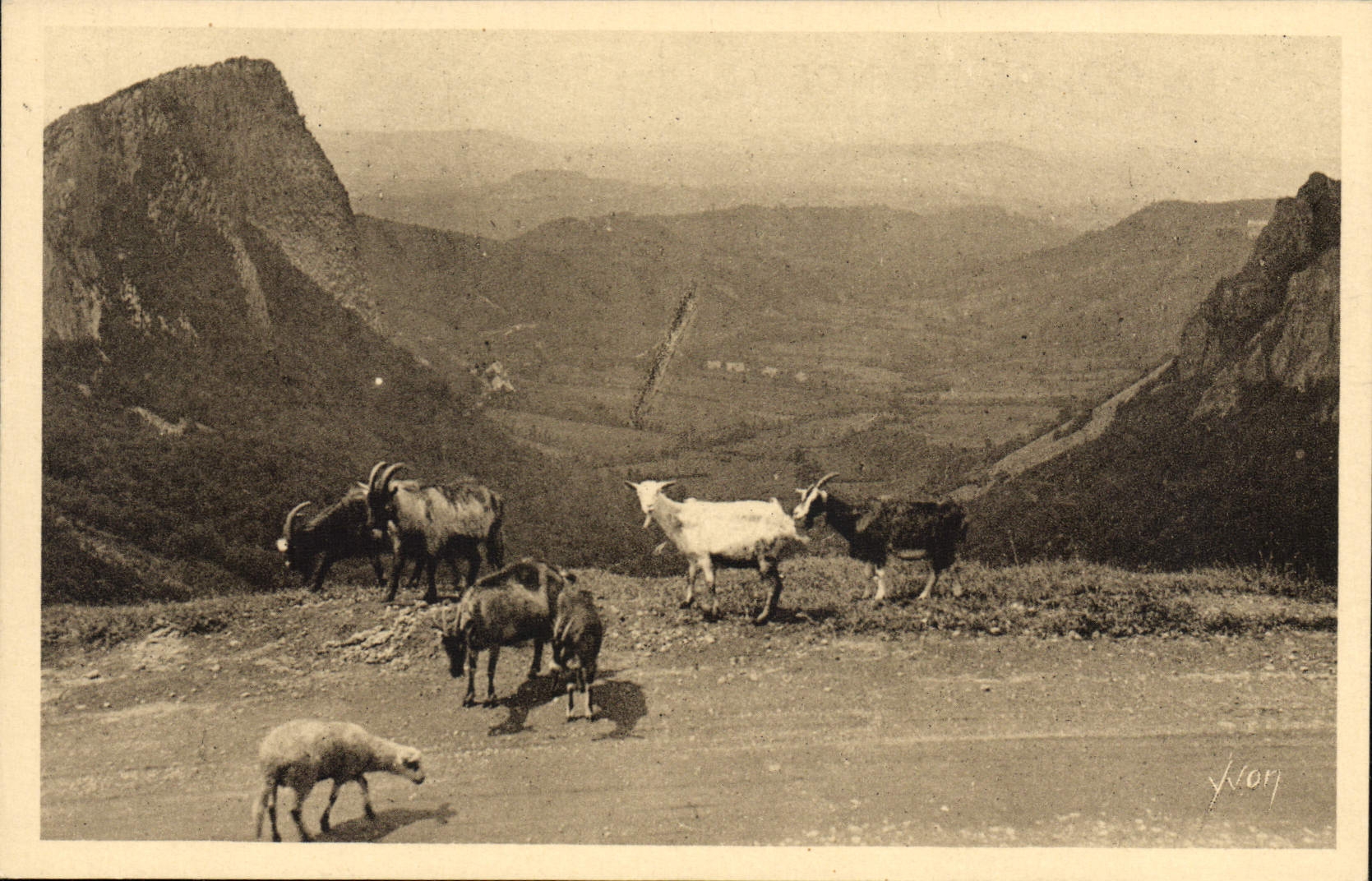 CPA Chevre Environs du Mont Dore Vallee de la Sioule et les Roches Sanadoire et Tuiliere