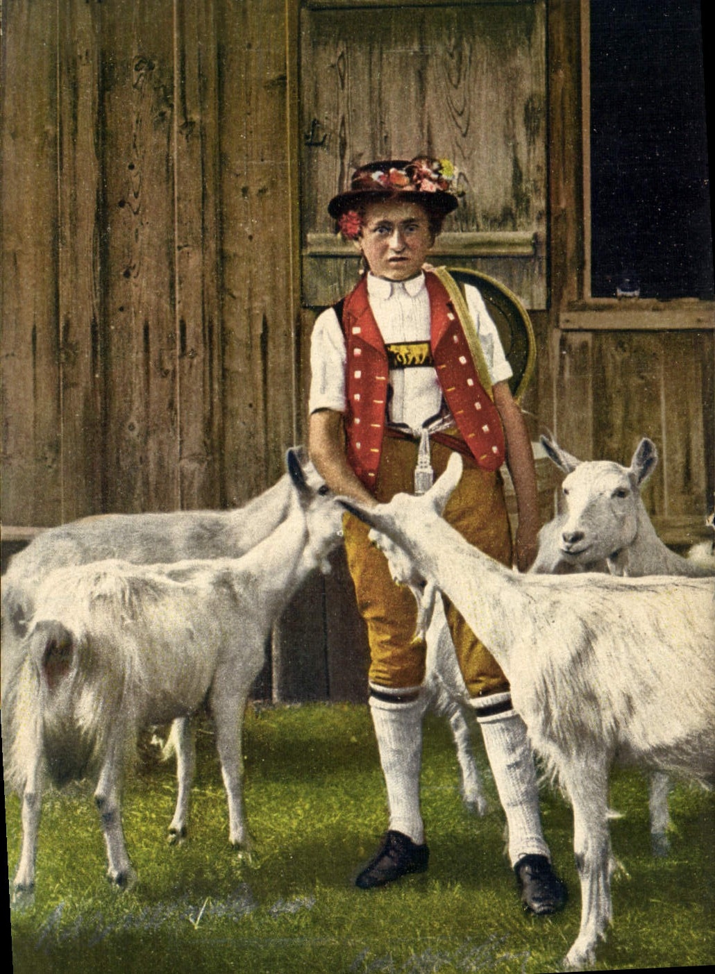 VINTAGE POSTCARD Swiss Goat's milk cheese Goatherd