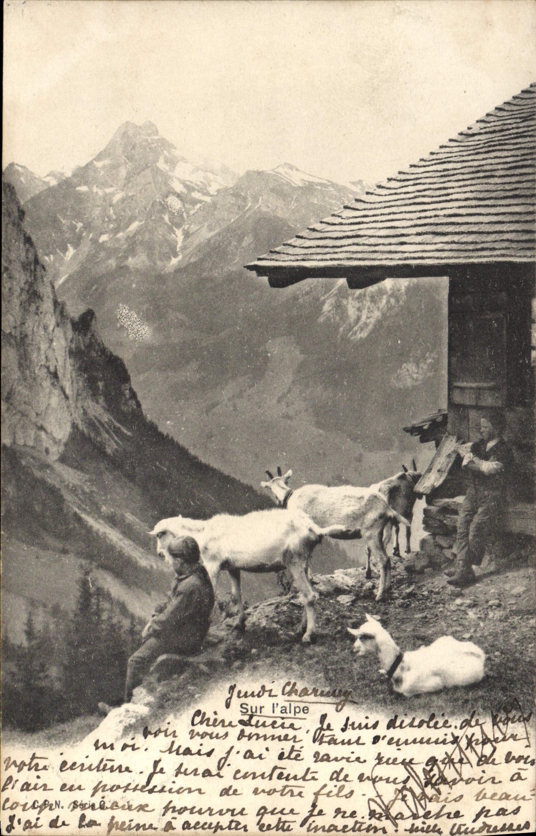 VINTAGE POSTCARD Goat On Alpe Switzerland Goats