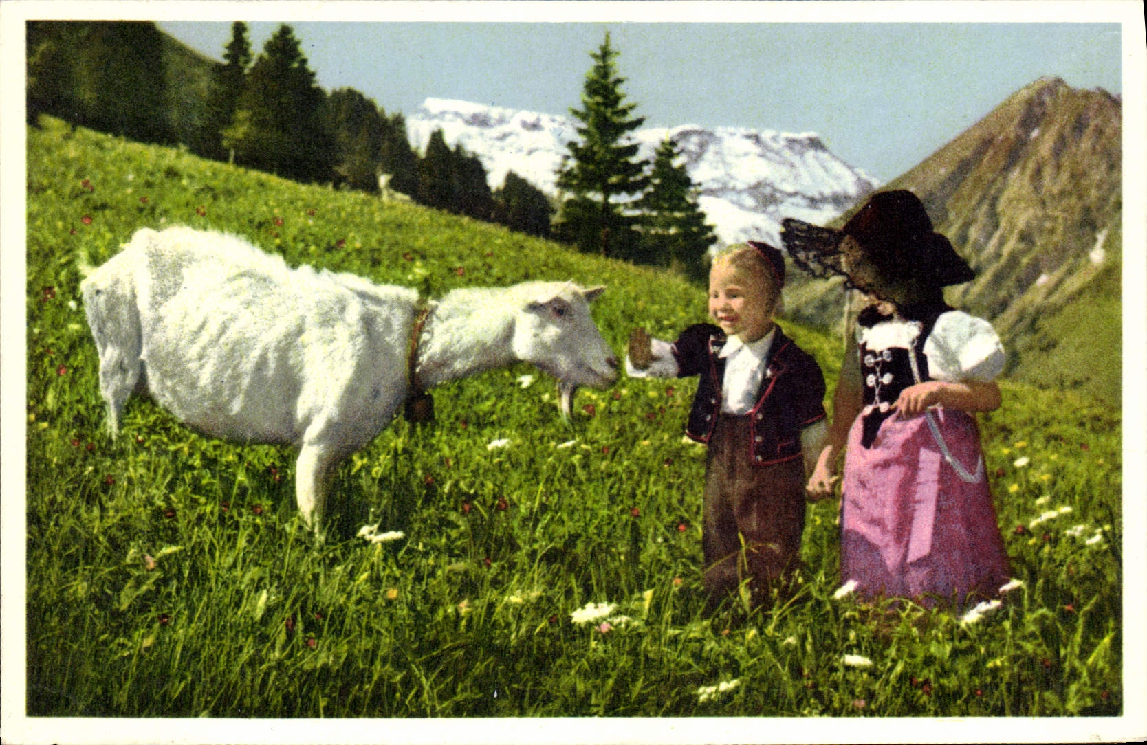 CPA Chevre Enfants 
