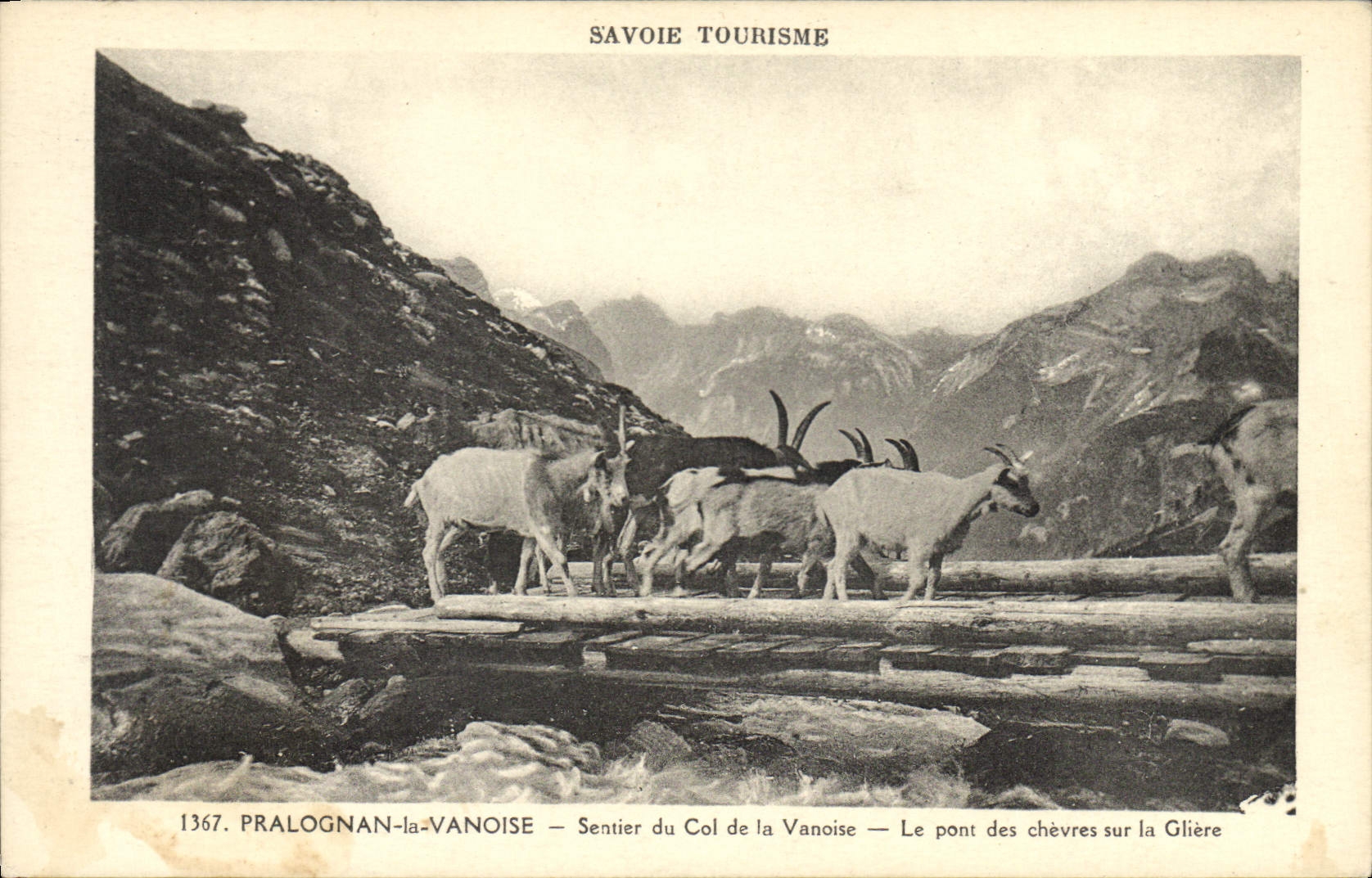 CPA Chevre Savoie Pralognan la Vanoise Sentier du col de la Vanoise Le pont des chevres sur la Gliere 
