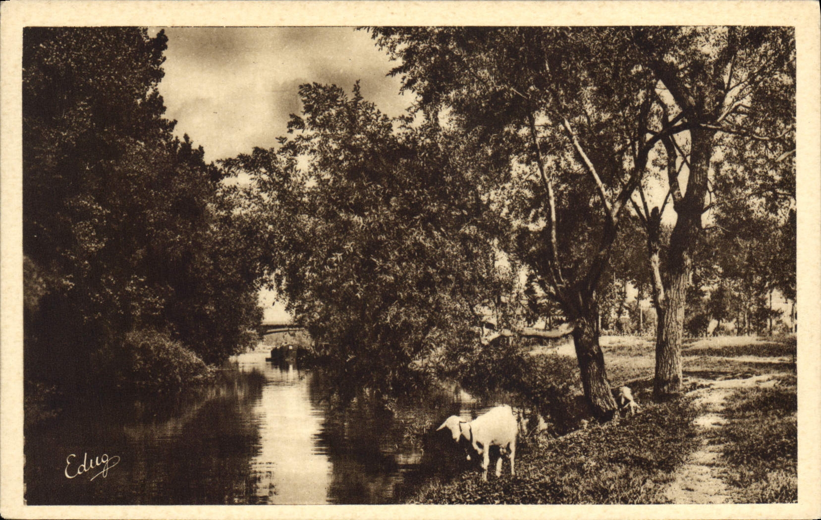 CPA Chevre Argenteuil