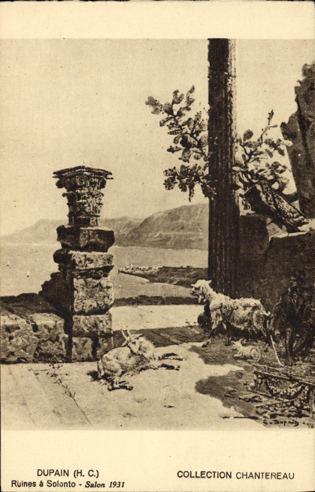 CPA Chevre Dupain Ruines a Solonto Ssalon 1931 Chantereau