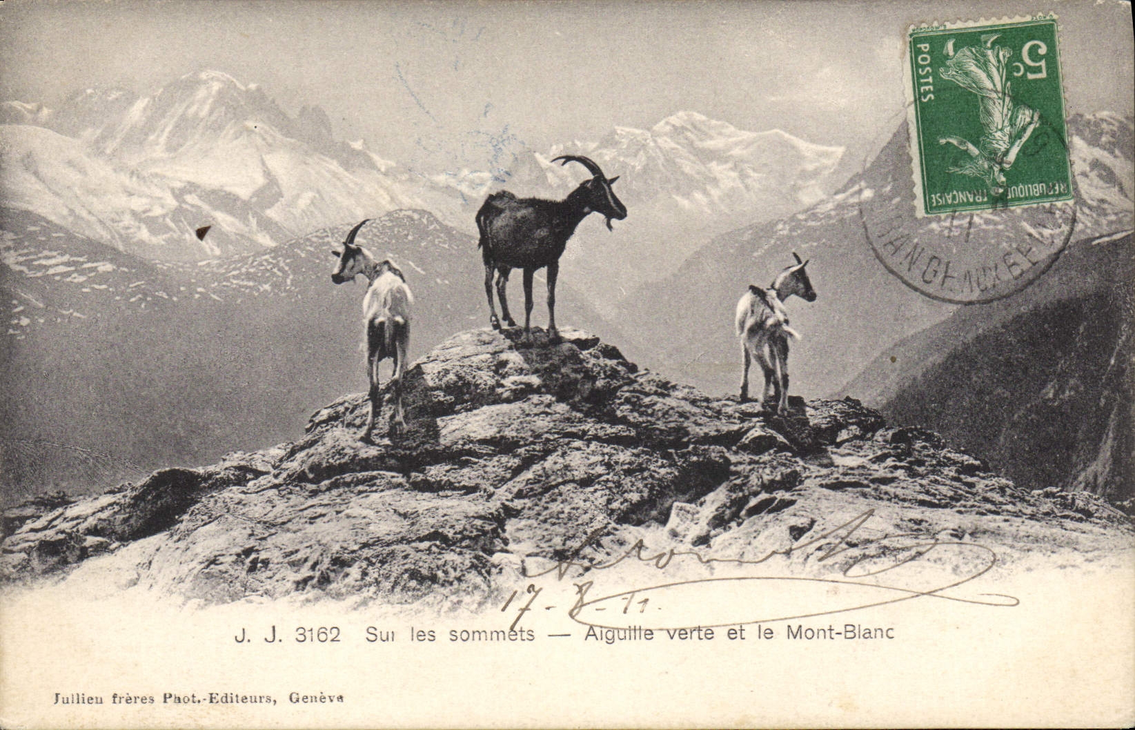 CPA Chevre Sur les sommets Aiguille verte et le Mont Blanc 