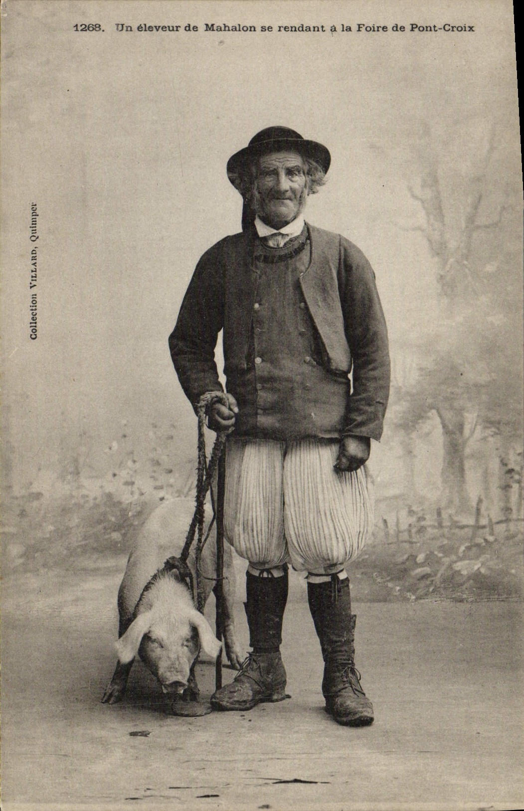 Folklore de la POSTAL de la VENDIMIA un ganadero de Mahalon que va a la feria del cerdo del cerdo de la Puente-Cruz
