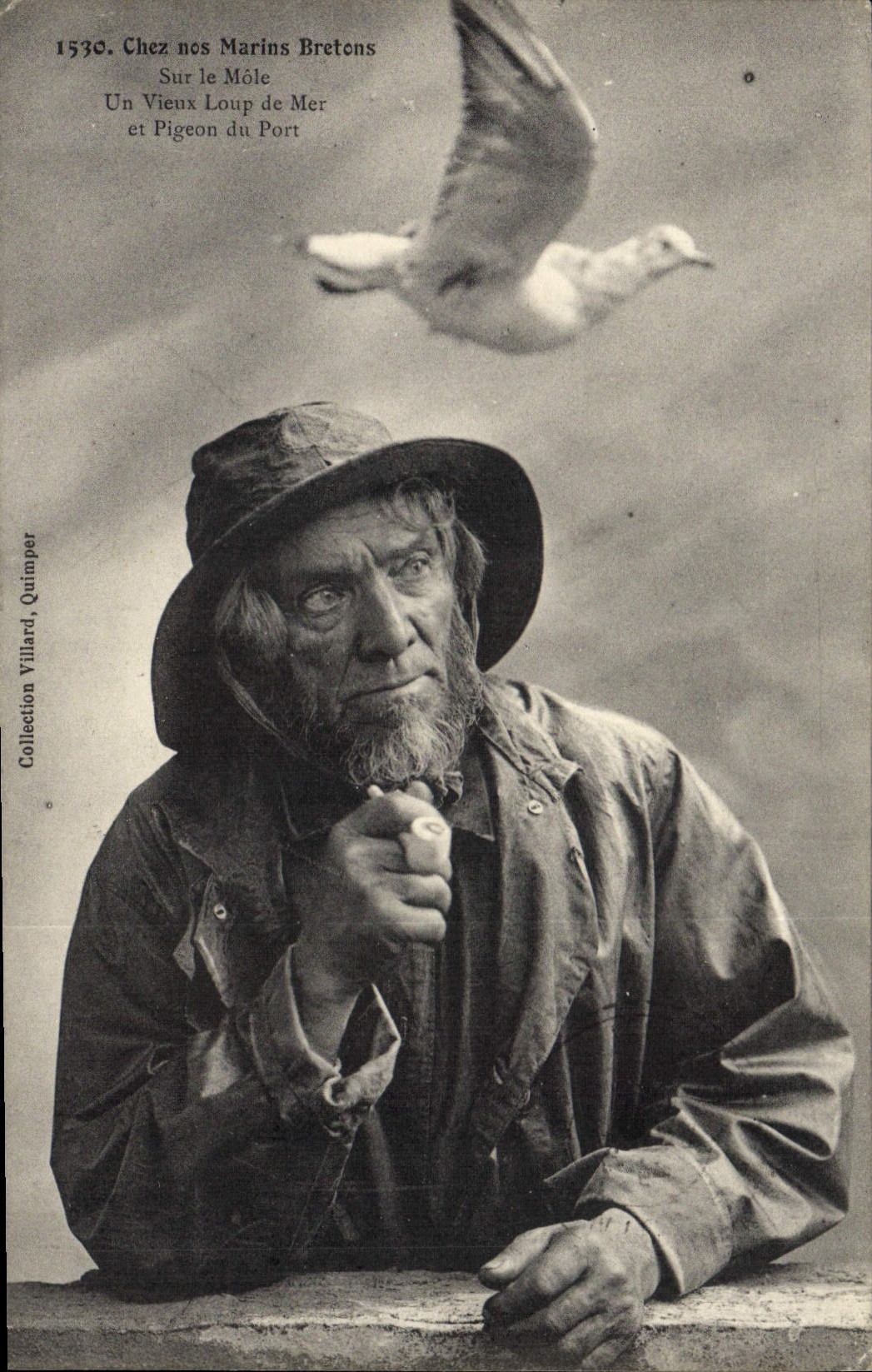 CPA Folklore Tabac Marins bretons Sur le Mole Un vieux loup de mer et pigeon du port Pipe