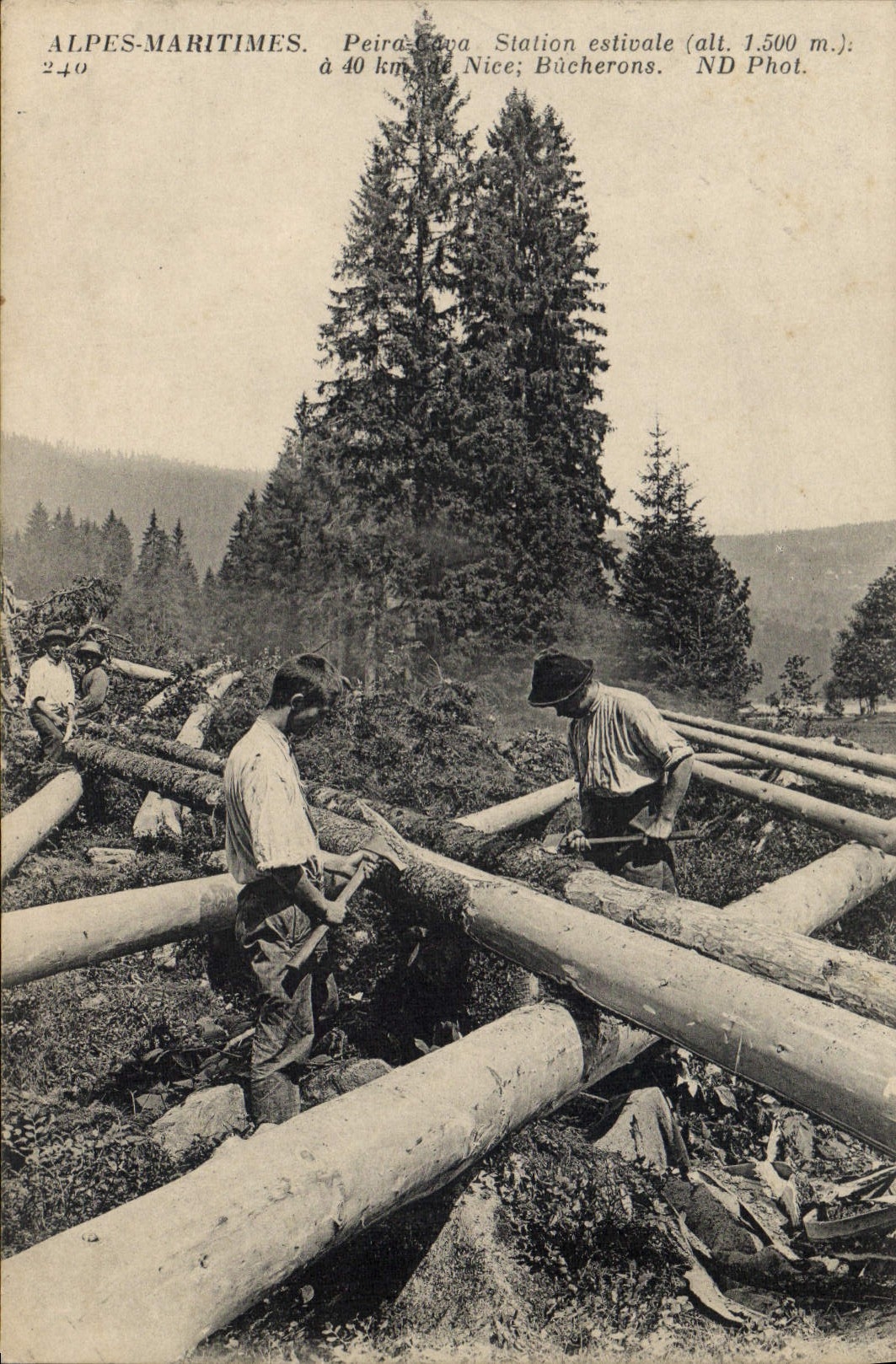 Folklore de Foret de la POSTAL de la VENDIMIA la TAPA minada Peira de los madereros de las montan@as