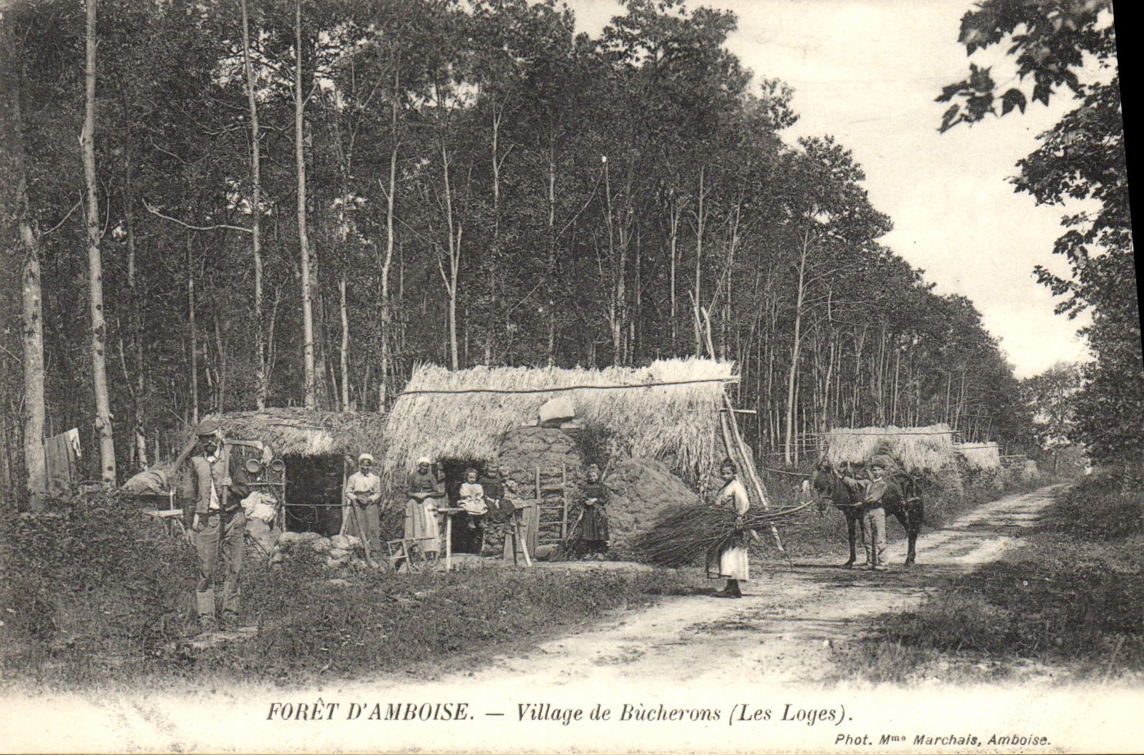 VINTAGE POSTCARD Drill Folklore Drill of Amboise Village of loggers Loges TOP