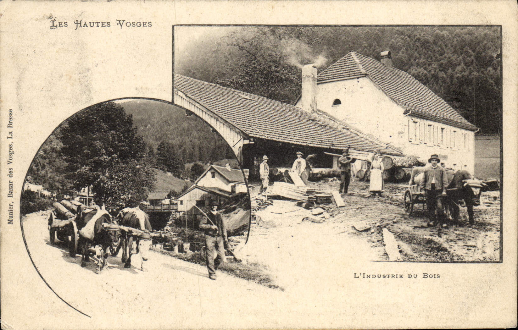 VINTAGE POSTCARD the High Vosges the industry of wood