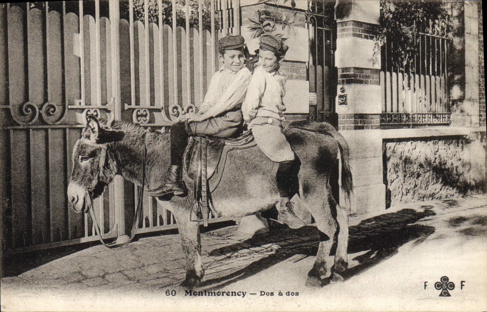 VINTAGE POSTCARD Ane Mule Montmorency Dos has back