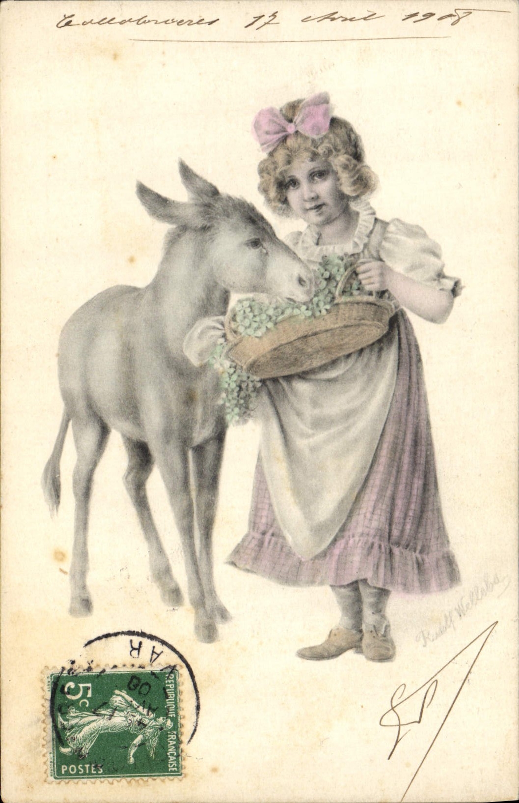 CPA Ane Mule Enfant