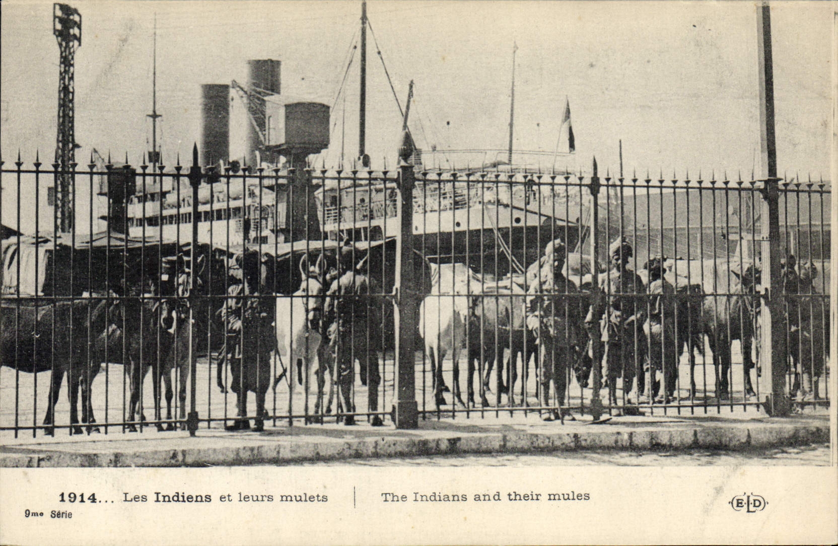 CPA Ane Mule Les indiens et leurs mulets 